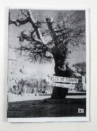 Trees Die Standing No.2 'Visit Palestine' - 1